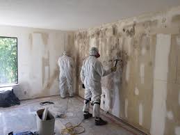 Best Commercial Mold Inspection  in Brighton, AL